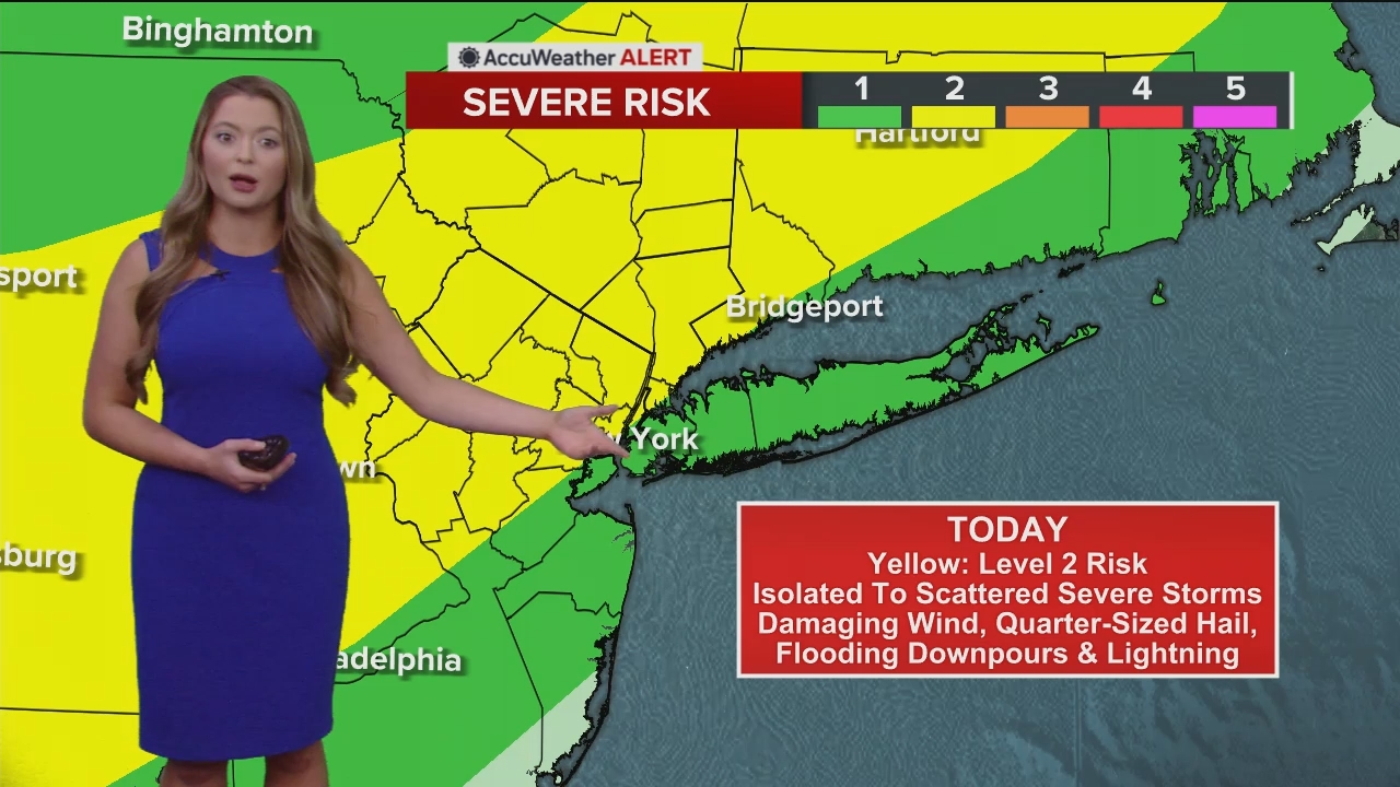 Eyewitness News Mornings at 10_20240614_15001600.ts_snapshot_00.47.27.880