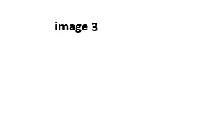image3.jpg