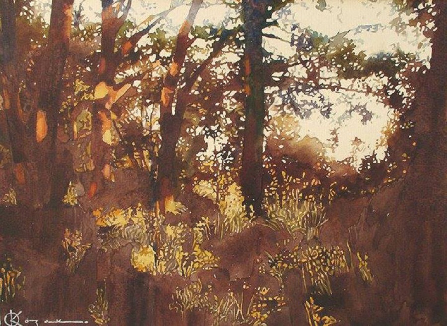 26