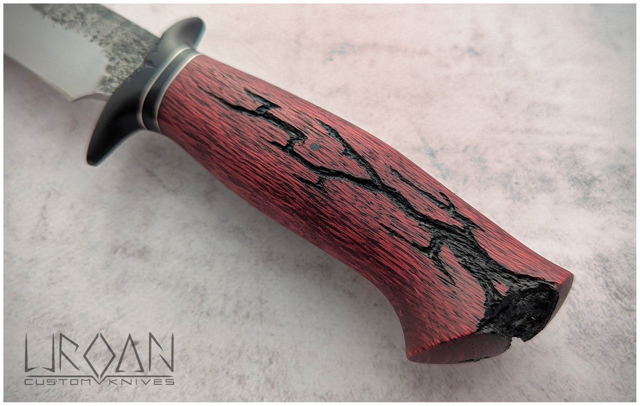 PXL 20260226 114637843