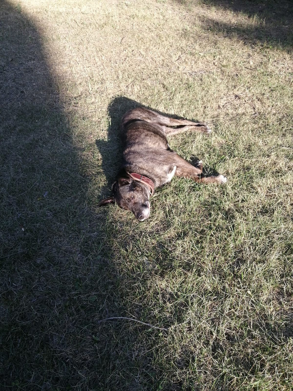 C7F69400-072F-4A46-90D4-474DC50C7919