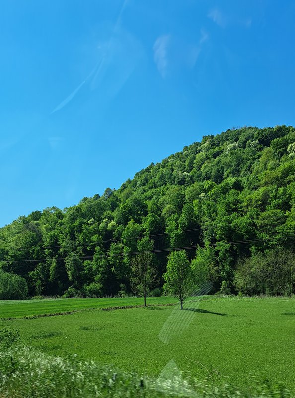 Slika