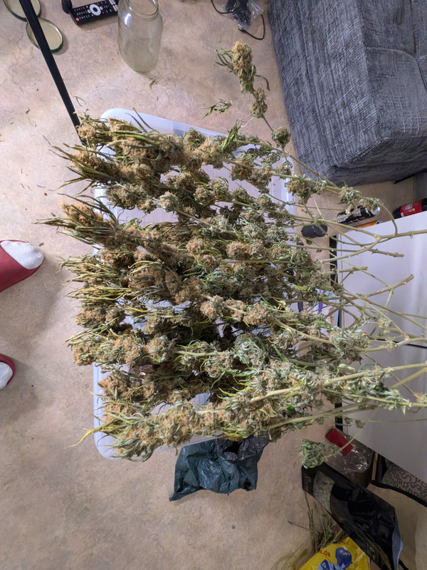 PXL 20260918 181153416 MP