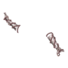 https://i.postimg.cc/zf9qwxh8/IMG-8954.webp