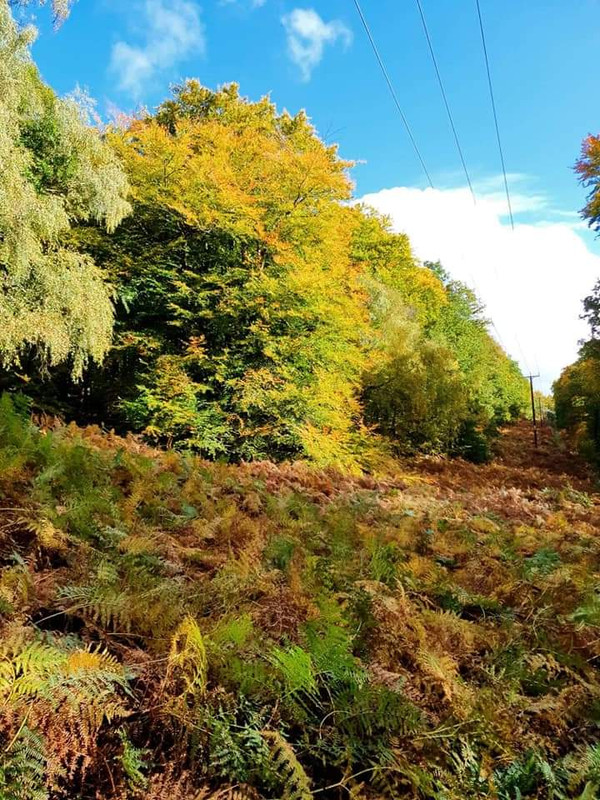 FB_IMG_1603740680149