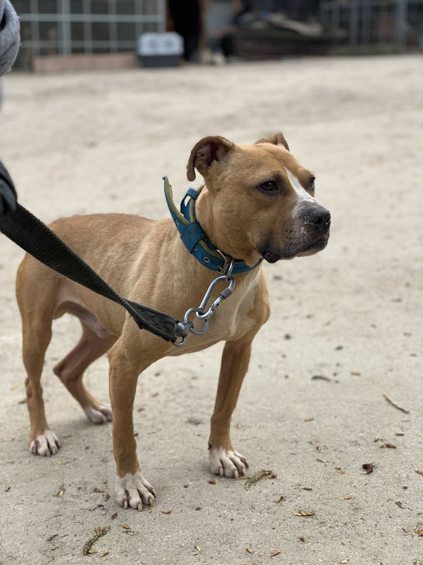 B1647EFA-5179-4D11-9684-7812CE460801