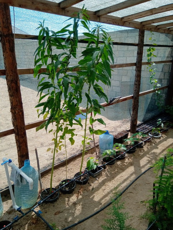 53570AB9-C30F-4DB1-9708-B048102B56DE