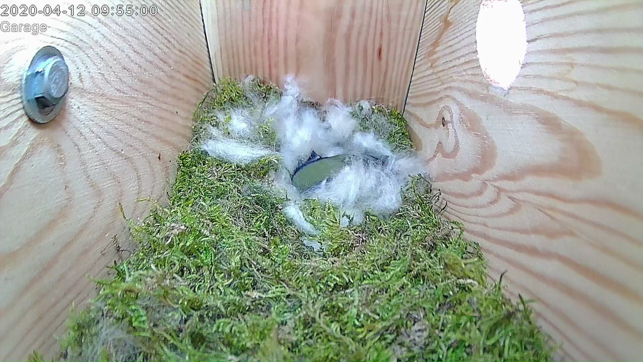 0BF3C181-470D-4A0F-ADB0-09444FAAB56E