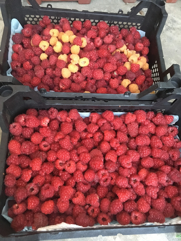 5080D6B4-814D-49CC-BEA8-426416470617