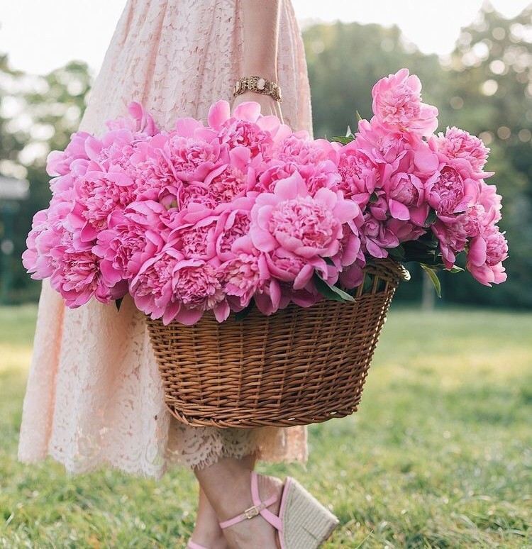 ���� ���� ������ �� ���� ������