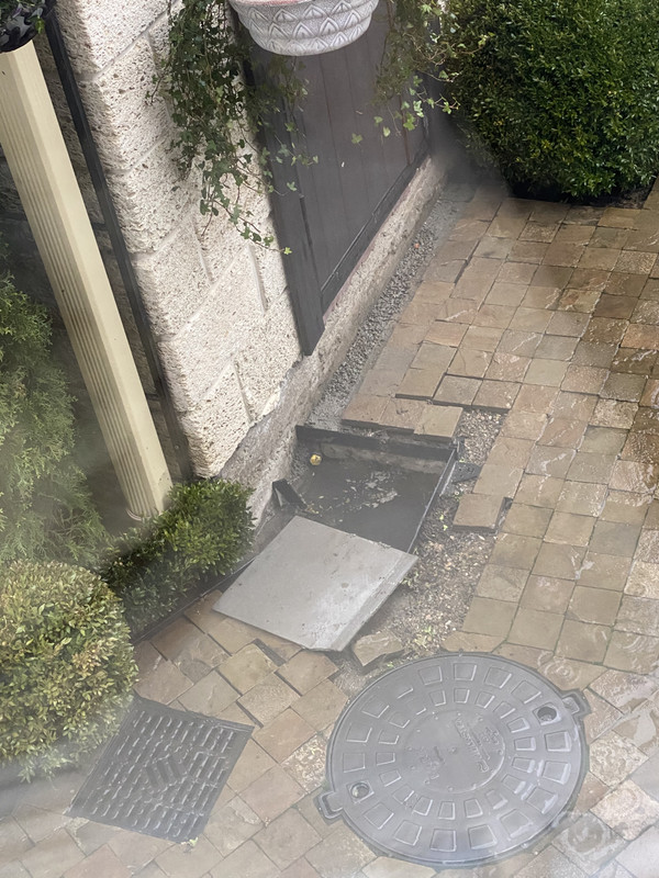 2E5B28DD-5BDC-42E6-9F74-037122A513E4