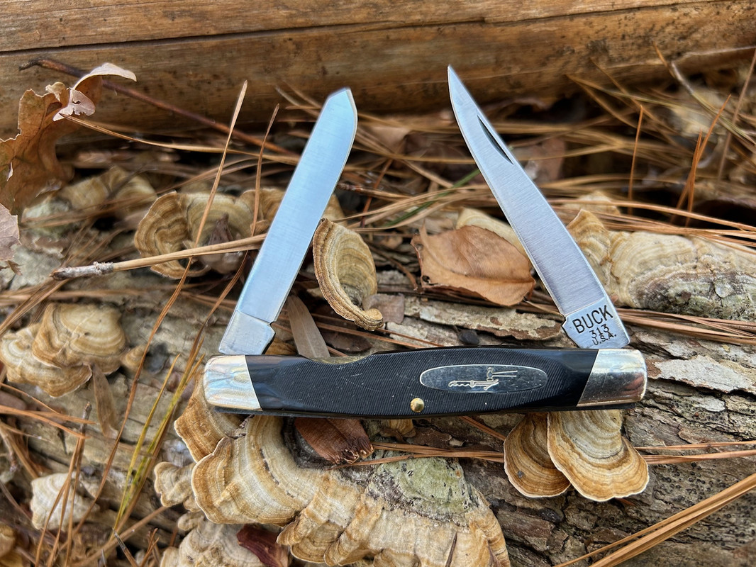 Buck-313-2.jpg
