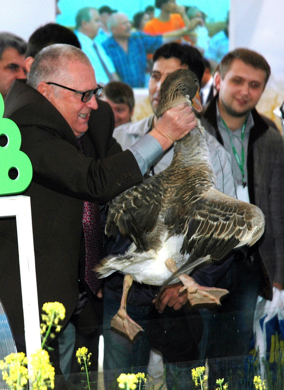 22291418_1342976205825209_3501177800338524657_o