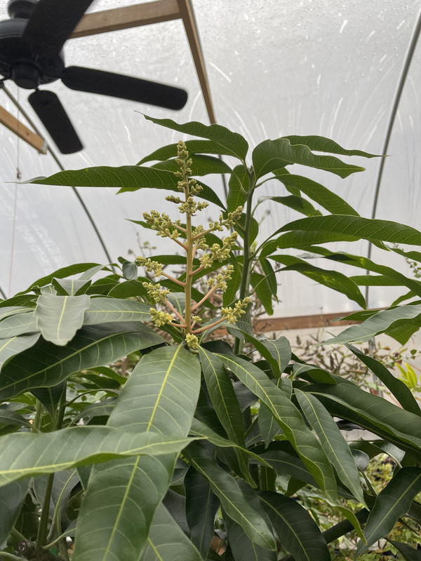 FA104860-BC4E-4C36-AA89-3C5CB2B22F88