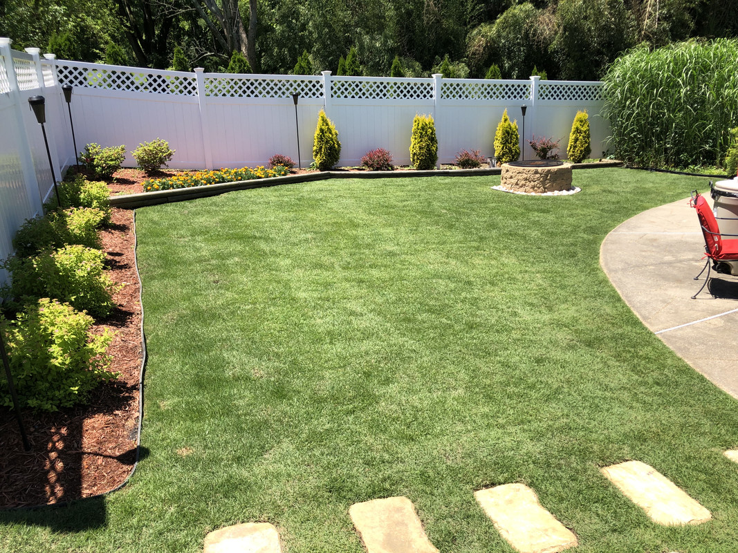 Zeon zoysia weed control (new sod) Lawn Care Forum