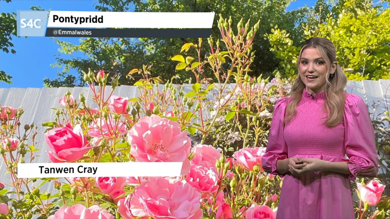 06.17 - 19.00.00 - Heno. Heno, byddwn ni'n fyw mewn cyngerdd arbennig..._002.ts_snapshot_06.13.705