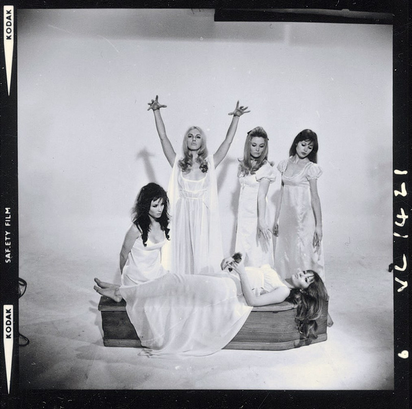 vamp lovers girls again