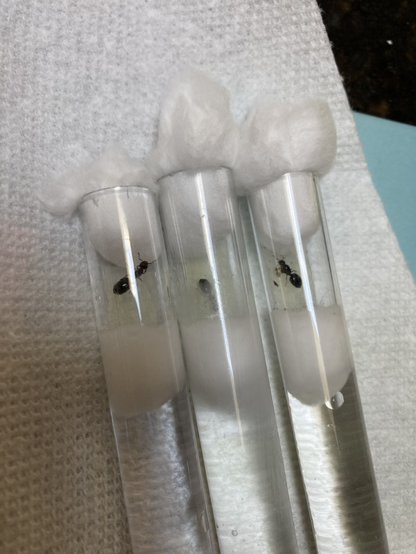 1EFFF934-CD1C-4DD3-97A1-1D2C27AD3D82