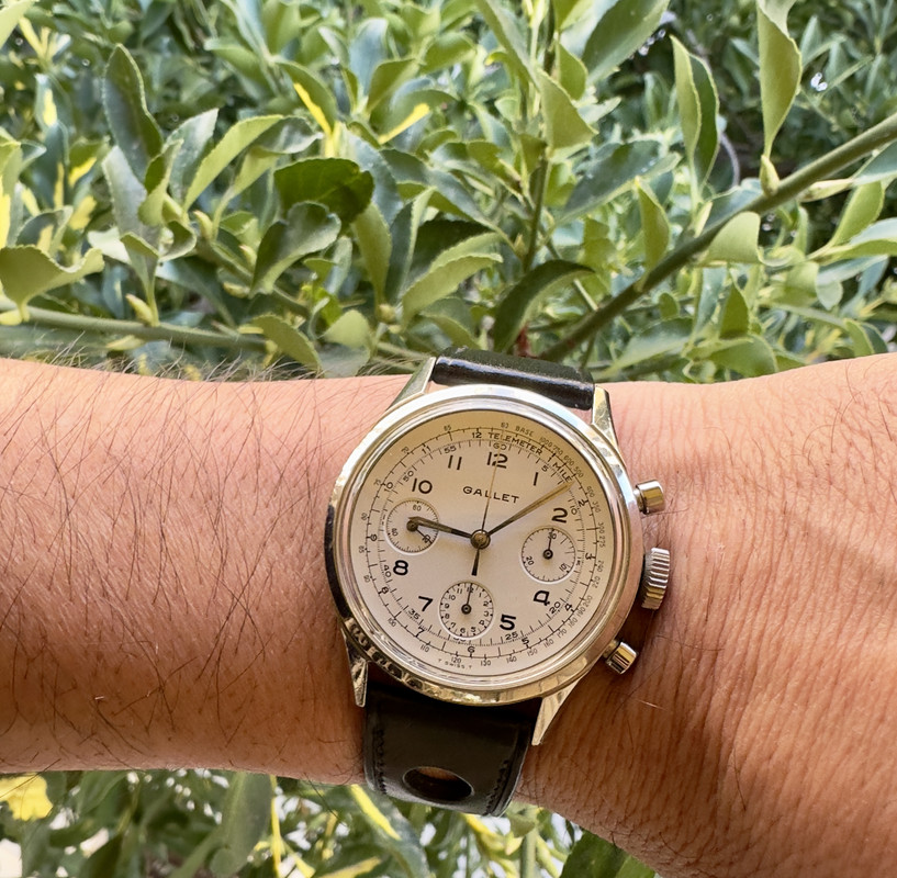 493C3338-3062-4F73-9B13-42F451DA6345