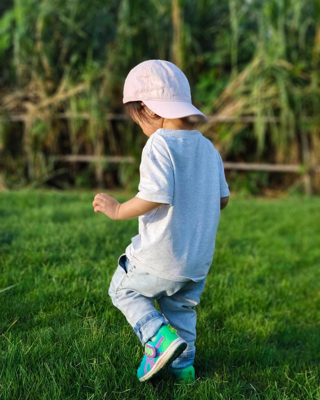 vikkiiexplorer-1717377805-3381932612309487400-54255420614