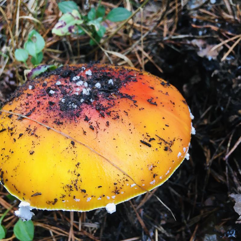 9042595E-83B9-4468-B22B-133468FBAE5F