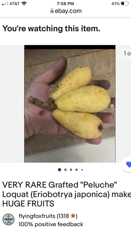 A7BE9EBC-920E-40FD-8B4B-7795233C3130