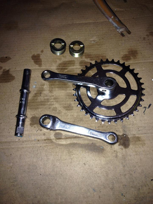 10733553_10203196976785765_196125207_n