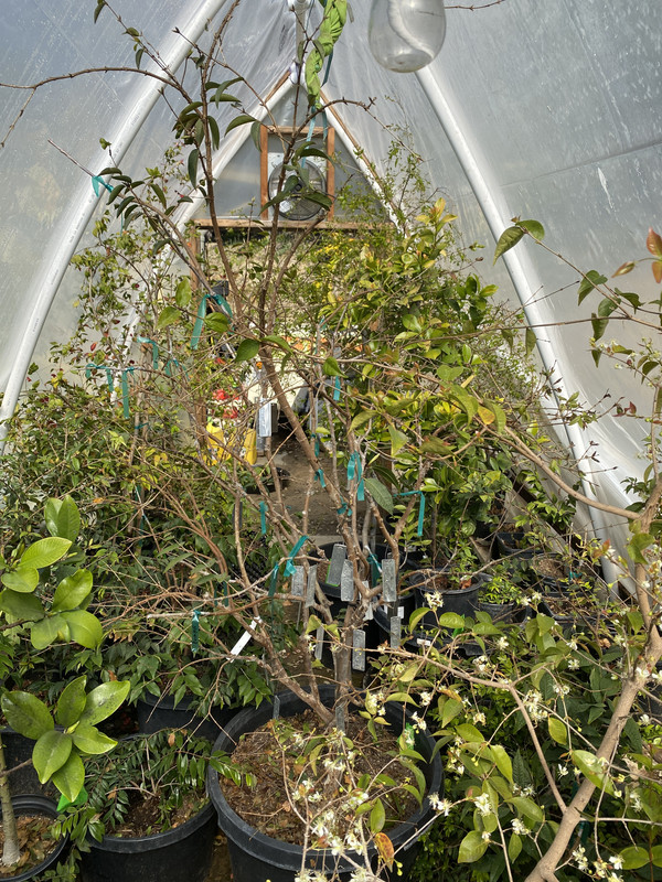 6FCA05A7-CA76-4FE8-8414-0507549CAAC7