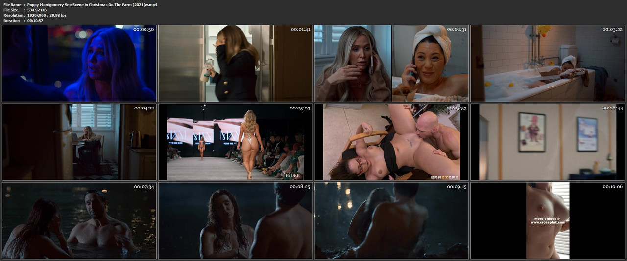 Poppy Montgomery Sex Scene in Christmas On The Farm (2021)w.mp4