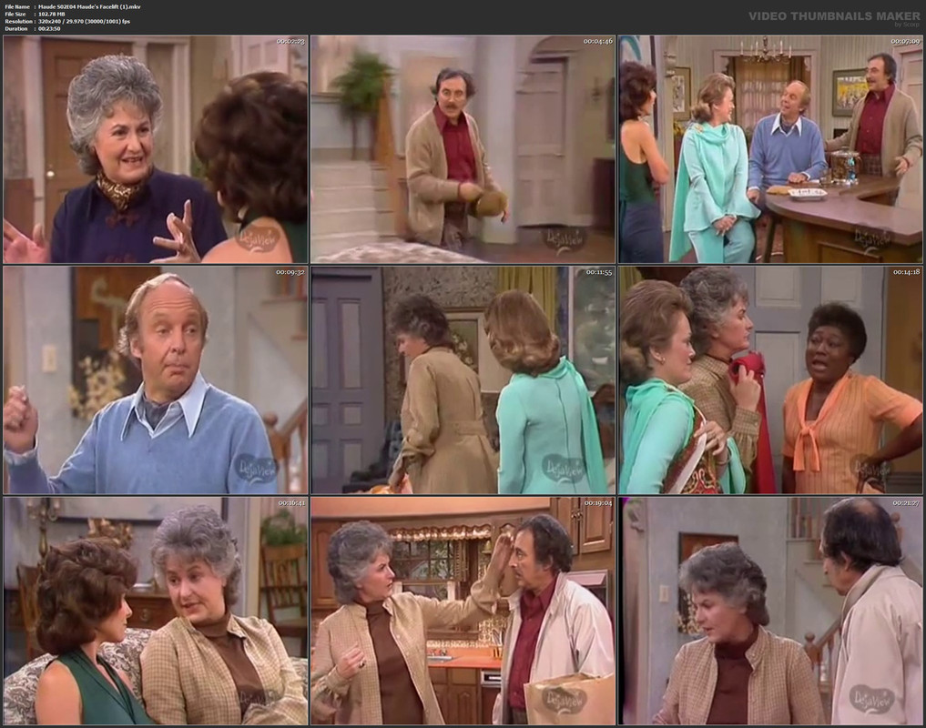 Maude S02E04 Maude's Facelift (1).mkv