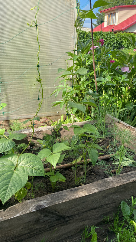 1F1819DC-895E-4AFB-AE3E-257F5A3DA807