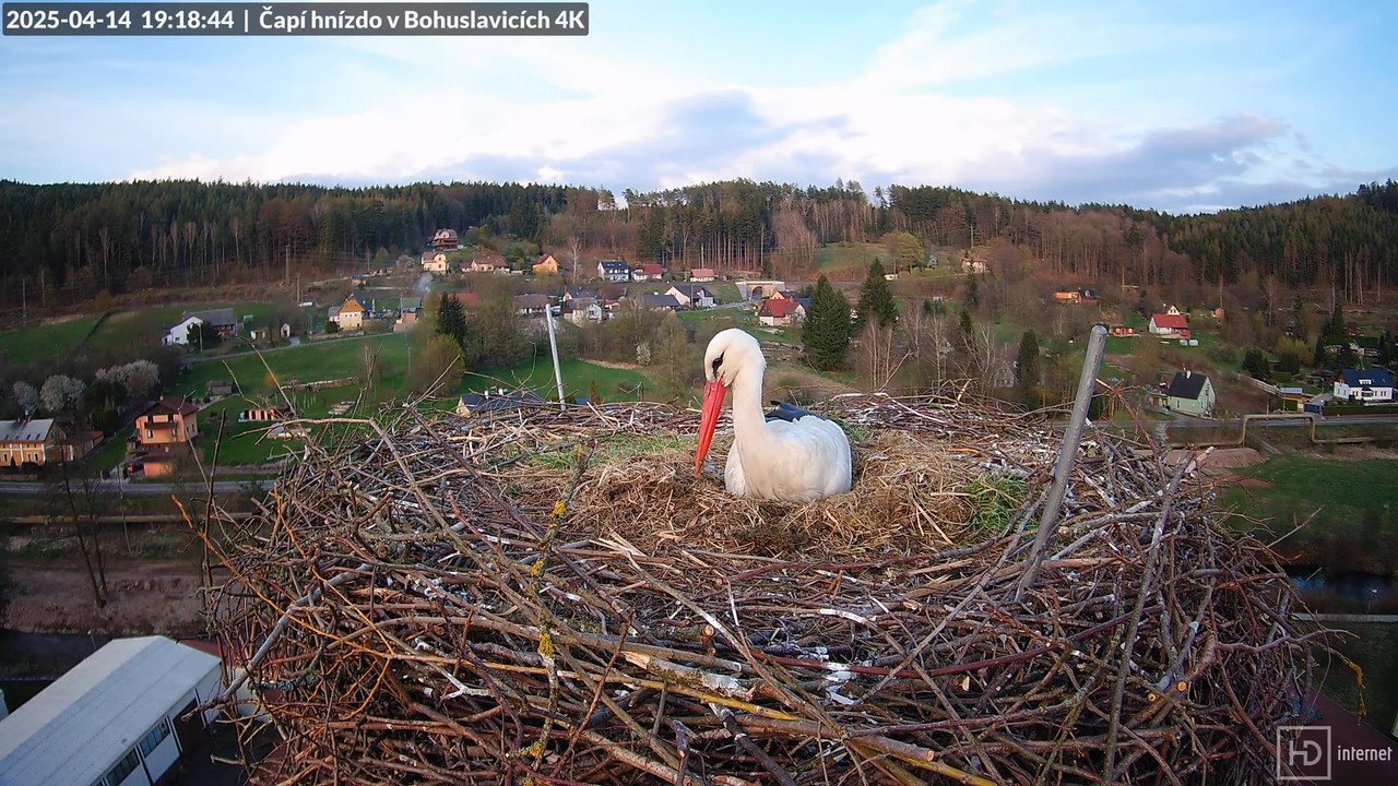 Živě z čapího komína firmy KARA v Bohuslavicích u Trutnova 16-25-55 screenshot (1)