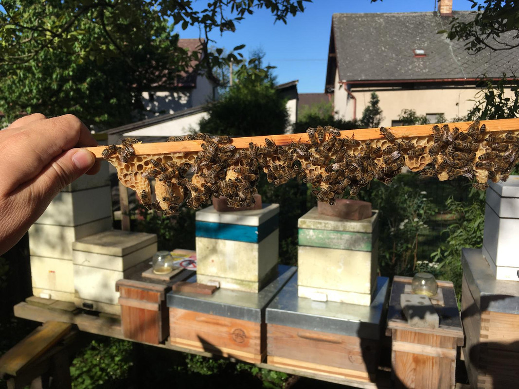 185312FB-9993-4892-8DA2-A3DA4E3A6B1D