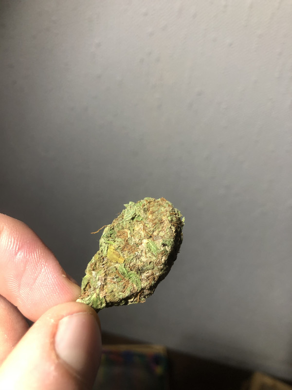 F0C6E258-1317-4226-9D19-70A16FA49A5D