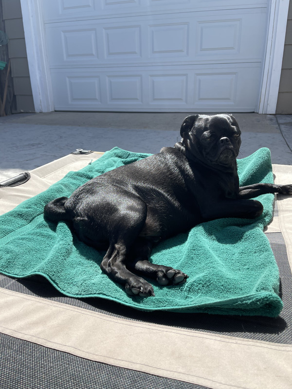 1956DC54-F1BE-4F36-BFAB-52189420AED2