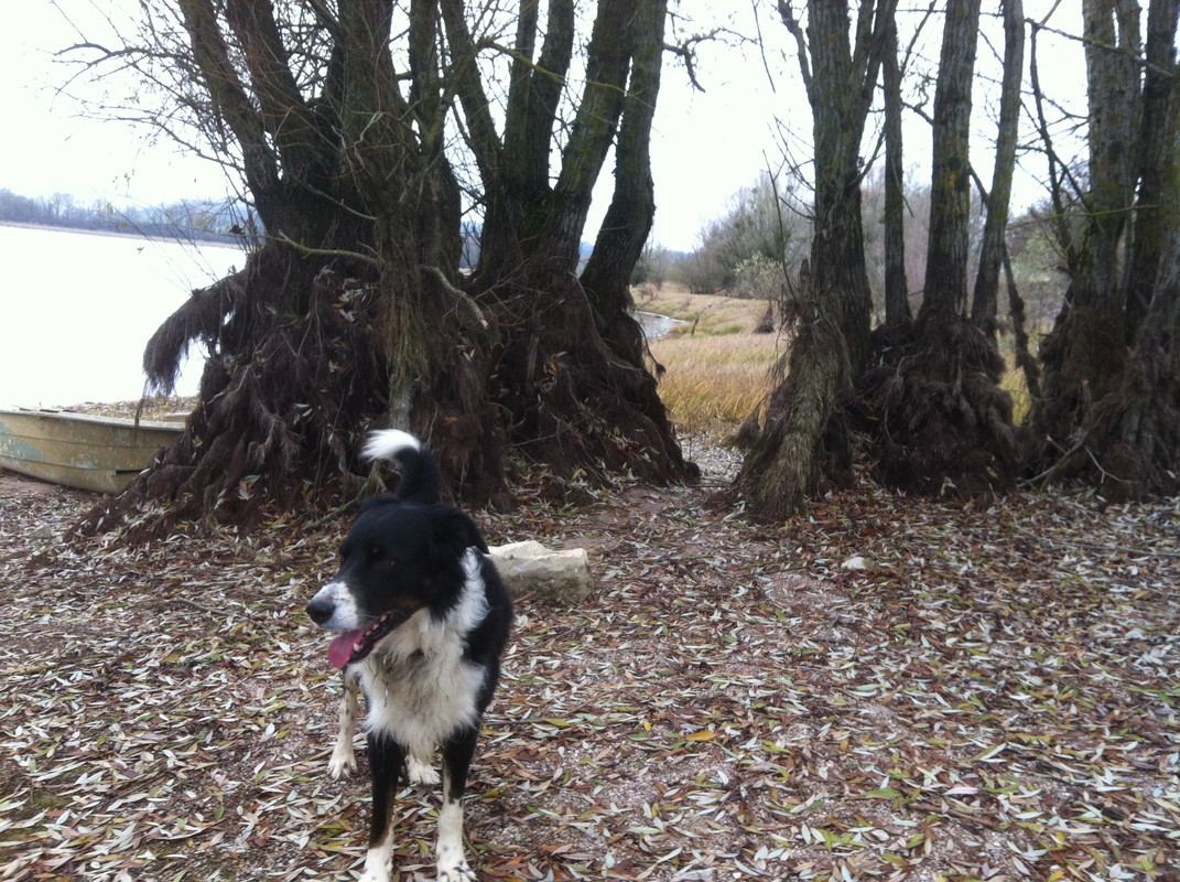 35ADBCF5-89DB-4FE4-B87C-1CBD0CD84686