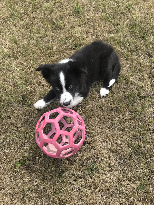 9037D259-341A-48CB-9061-05D512CAB75B