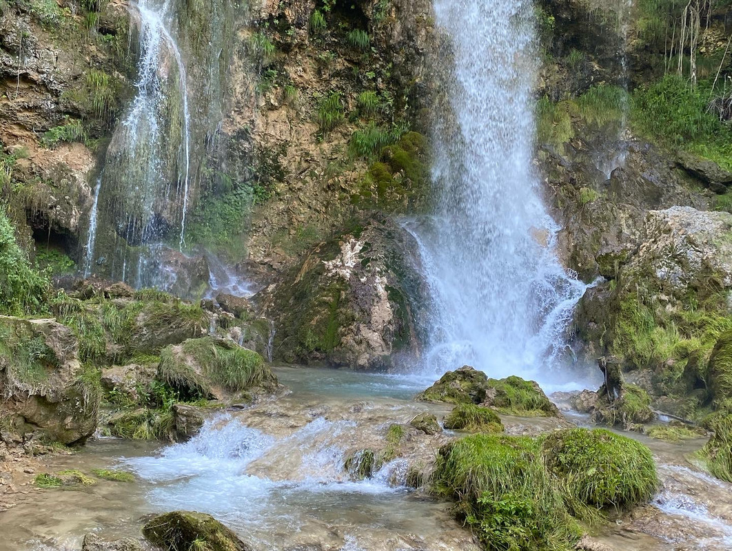 9848E50E-3C5C-4517-AC93-CF858C2AB1AA