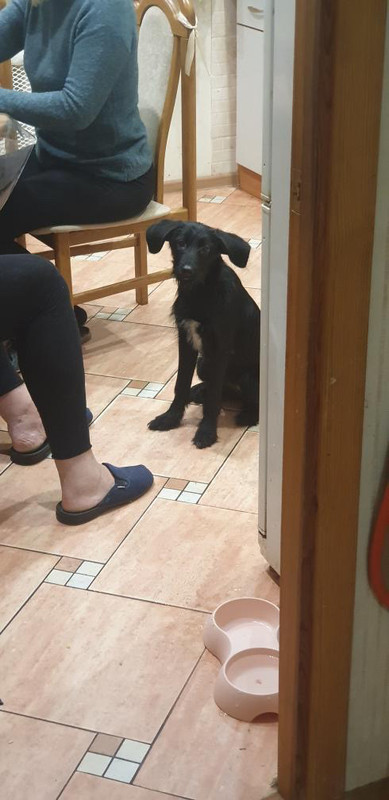 BF71A027-0C5D-4B0C-919B-35A4F1AEB2D3