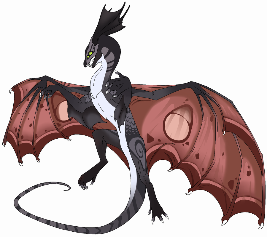 IMG-1043.png IMG-1043.png