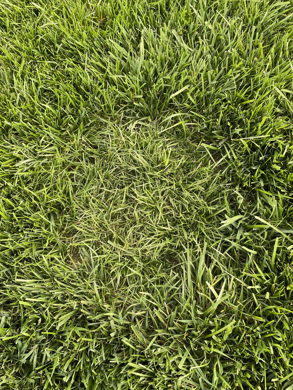 DA27D955-BC2F-4FD9-B4B3-0BD2421A37AC