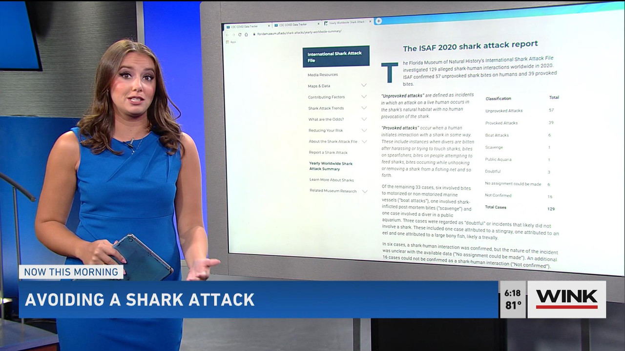 08.01 - 11.00.00 - WINK News @ 6 00AM Sunday. Local news, sports and ....ts_snapshot_00.15.14_[2021.