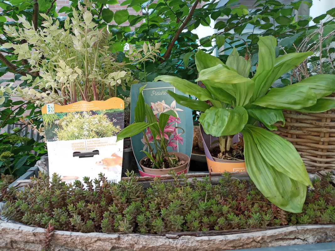 [Image: 20220531-181311.jpg]