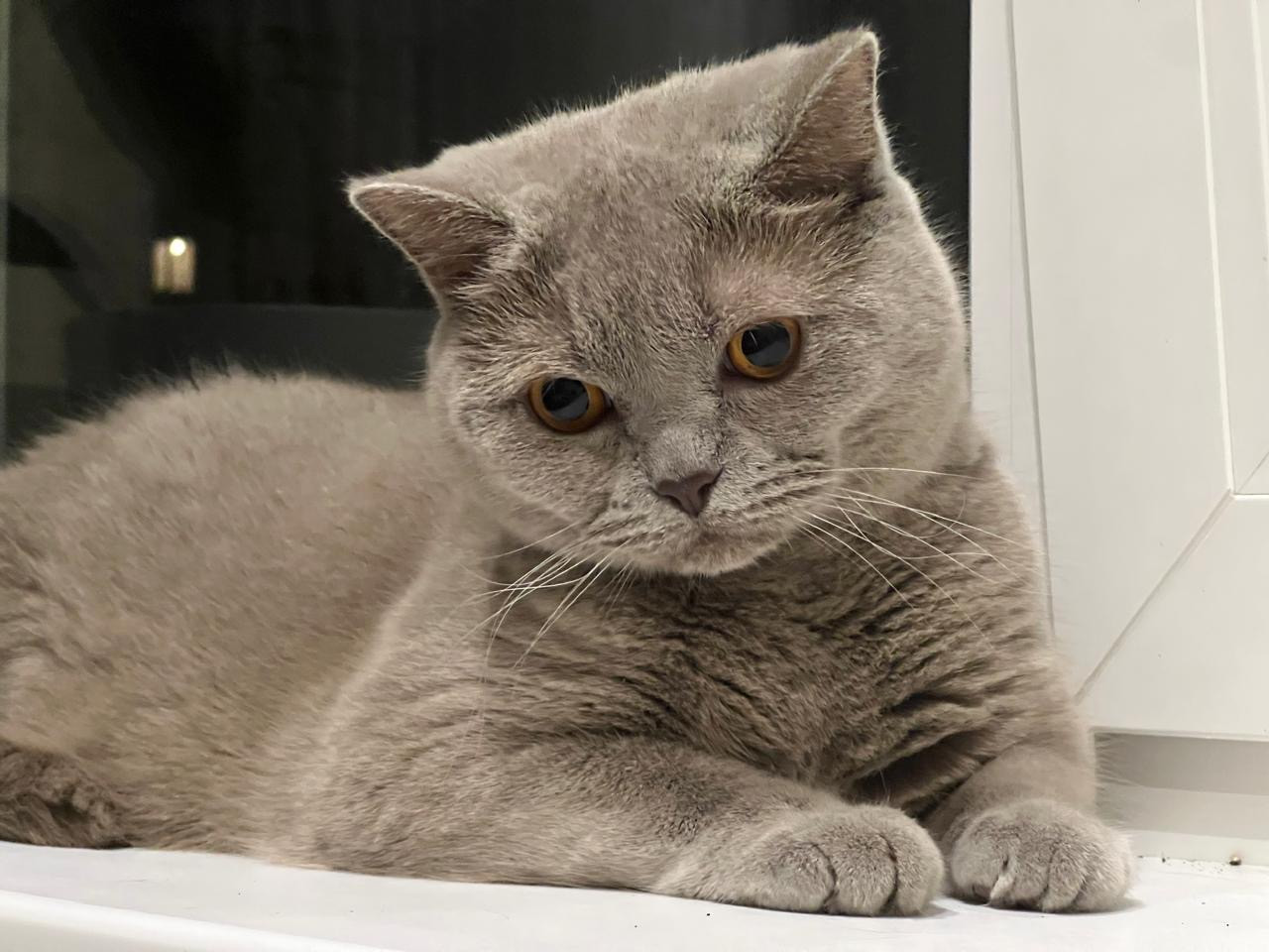 e50a3a28 98e9 45bd 9105 0e9a0d007c1f