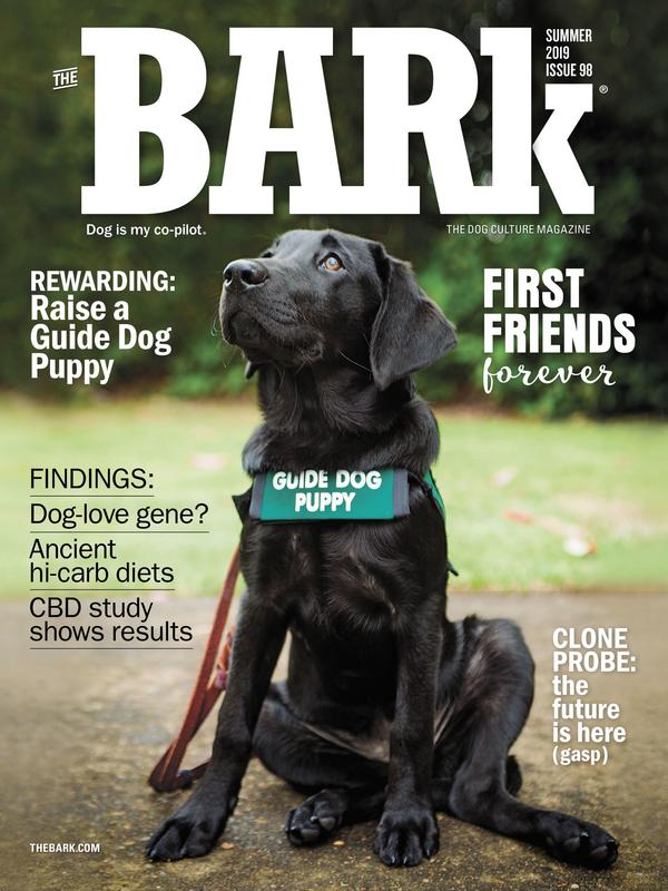 The-Bark-Issue-98-Summer-2019.jpg