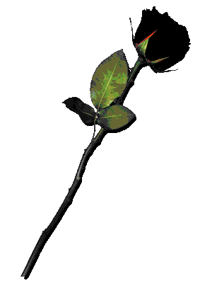 stickers-4e2c3d7cada2aa70e24e6d645420938d