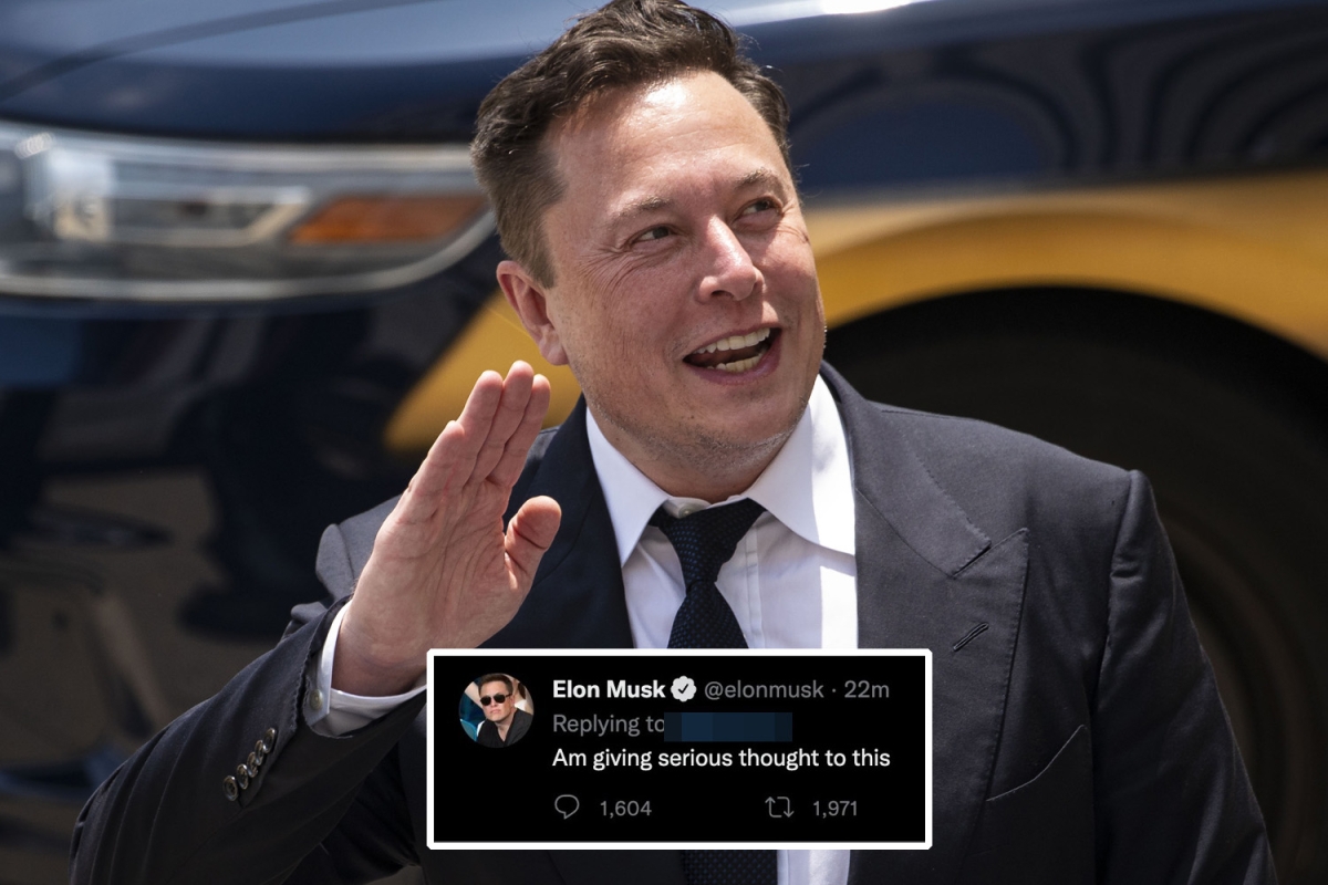 Elon Musk dice que está considerando seriamente crear una nueva red social