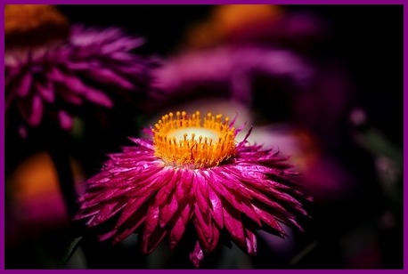 19-7-2024