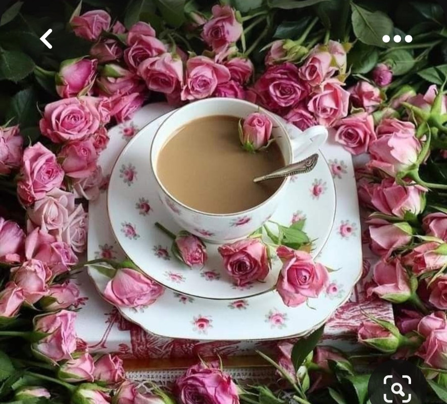 Screenshot_20230528_214427_Pinterest