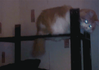 1685756249500760.gif
